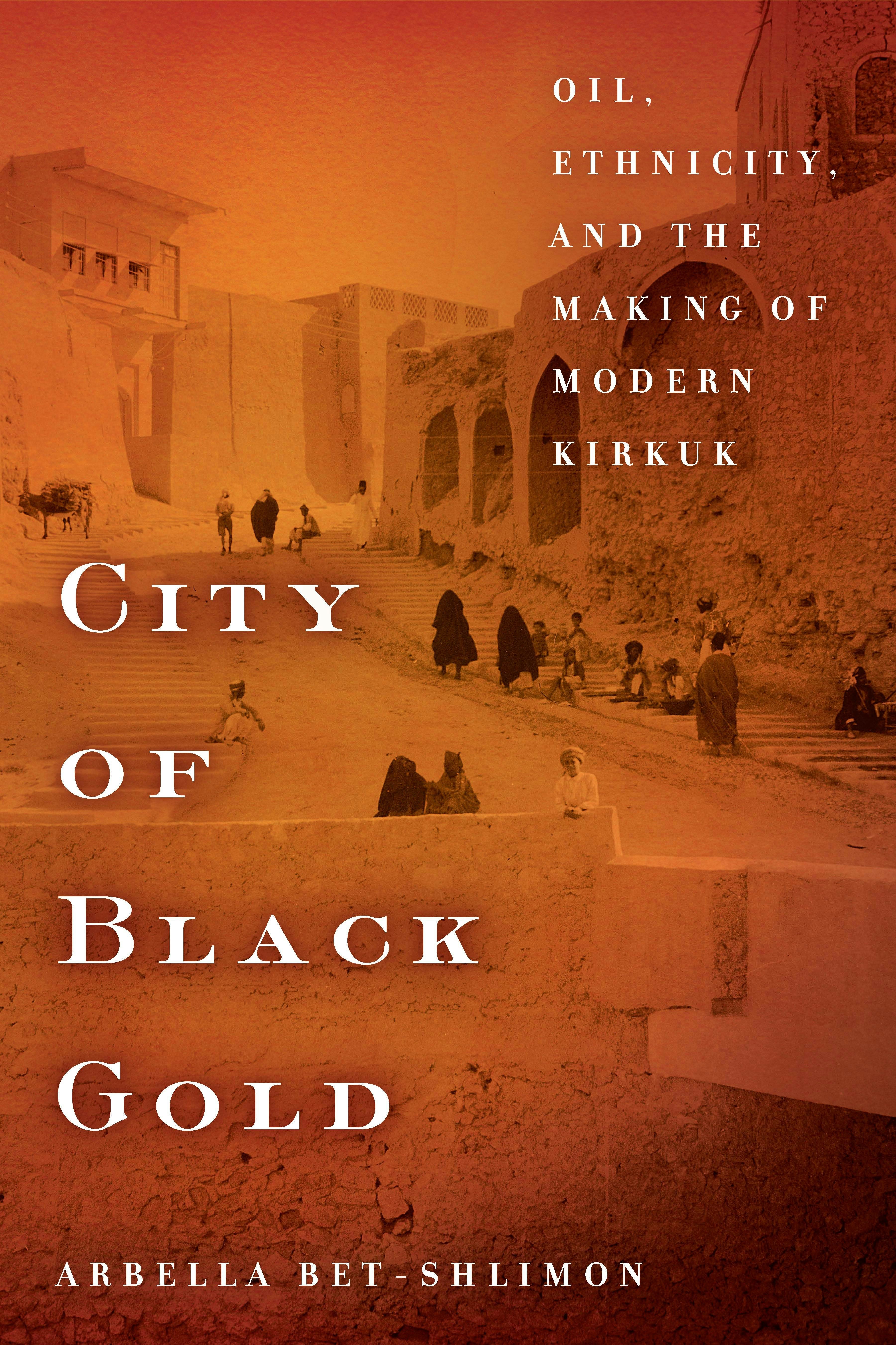 Book cover image for City of Black Gold ISBN: 9781503608122